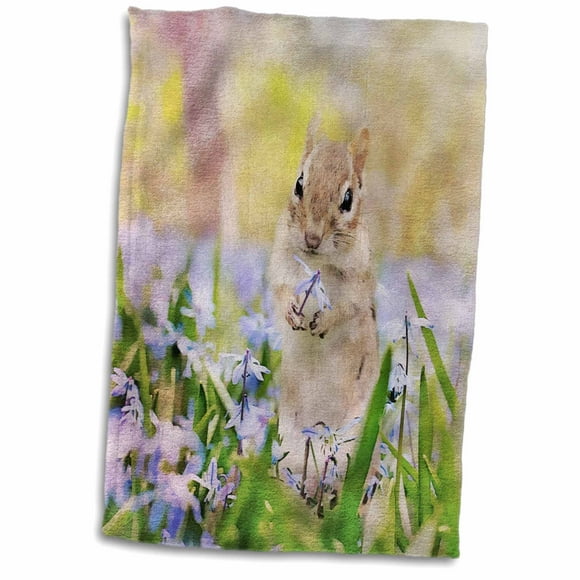 Multicolor Caroline's Treasures BB7348DS66 Rabbit and Squirrel Bathing Watercolor Wall or Door Hanging Prints 6x6 Multicolor Caroline's Treasures BB7348DS66 Rabbit and Squirrel Bathing Watercolor Wall or Door Hanging Prints 6x6